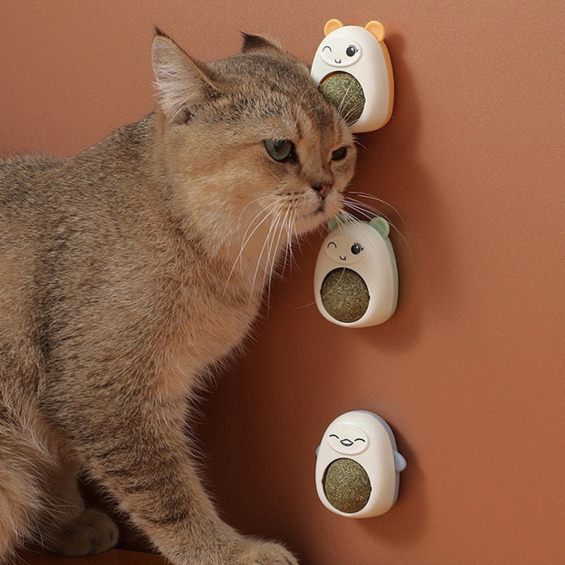 Juguete Para Gato Hierva Limpieza Dental